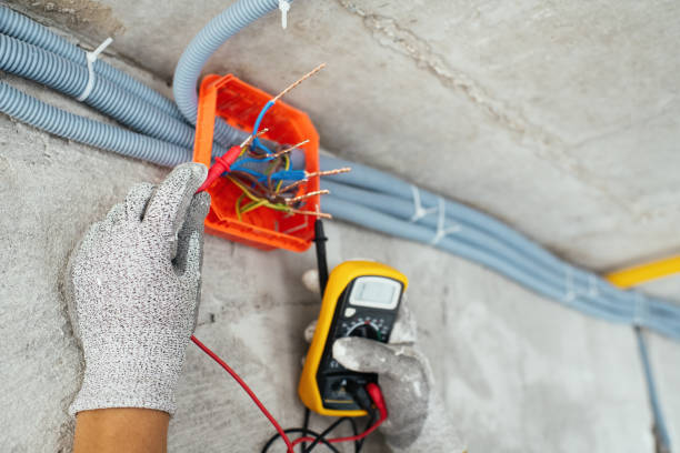 Best Electric Panel Repair  in Sonoma, CA